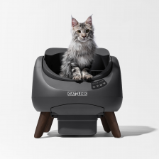 Catlink Open-X Litière autonettoyante pour chats - Gris foncé