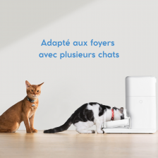 Catlink Fresh 2 Luxury Distributeur de croquettes intelligent pour chats